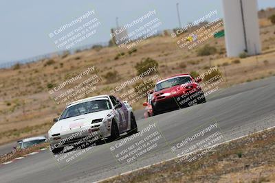 media/May-03-2025-Lucky Dog Racing (Sat) [[206de64b9d]]/Turn 6 (150pm-230pm)/